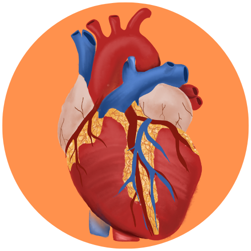 Vision Heart & Gynae-Care Centre