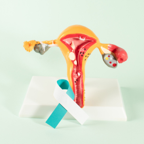 Vision Heart & Gynae-Care Centre